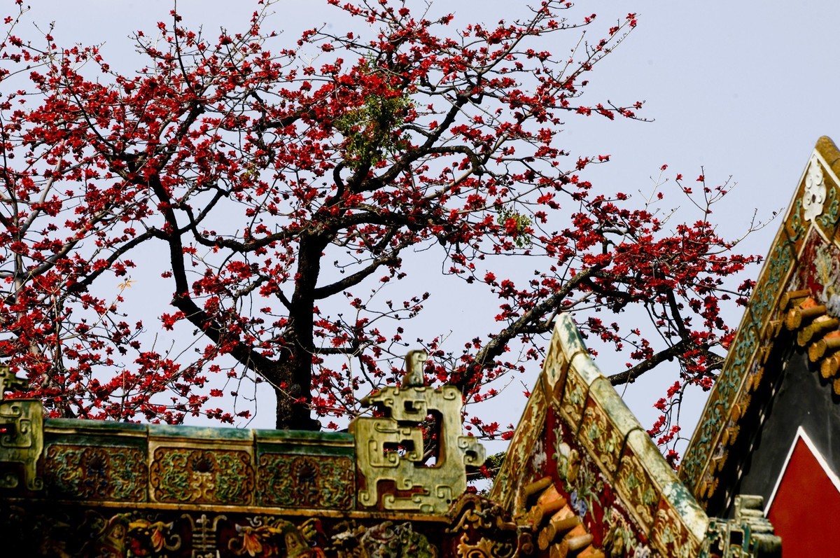 花城春色（二）