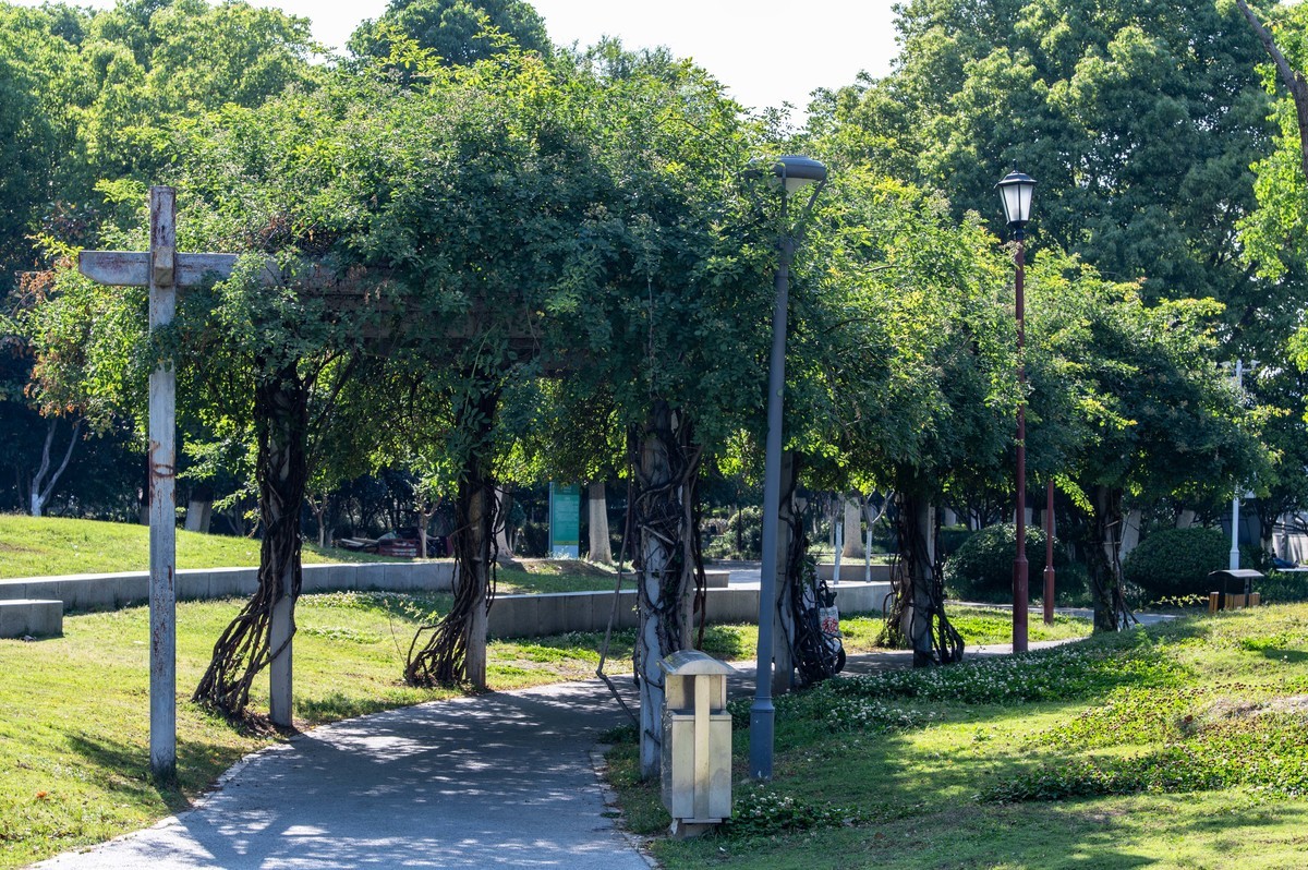 庐州印象（462）濱水公園
