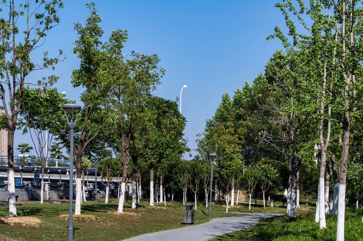 庐州印象（462）濱水公園