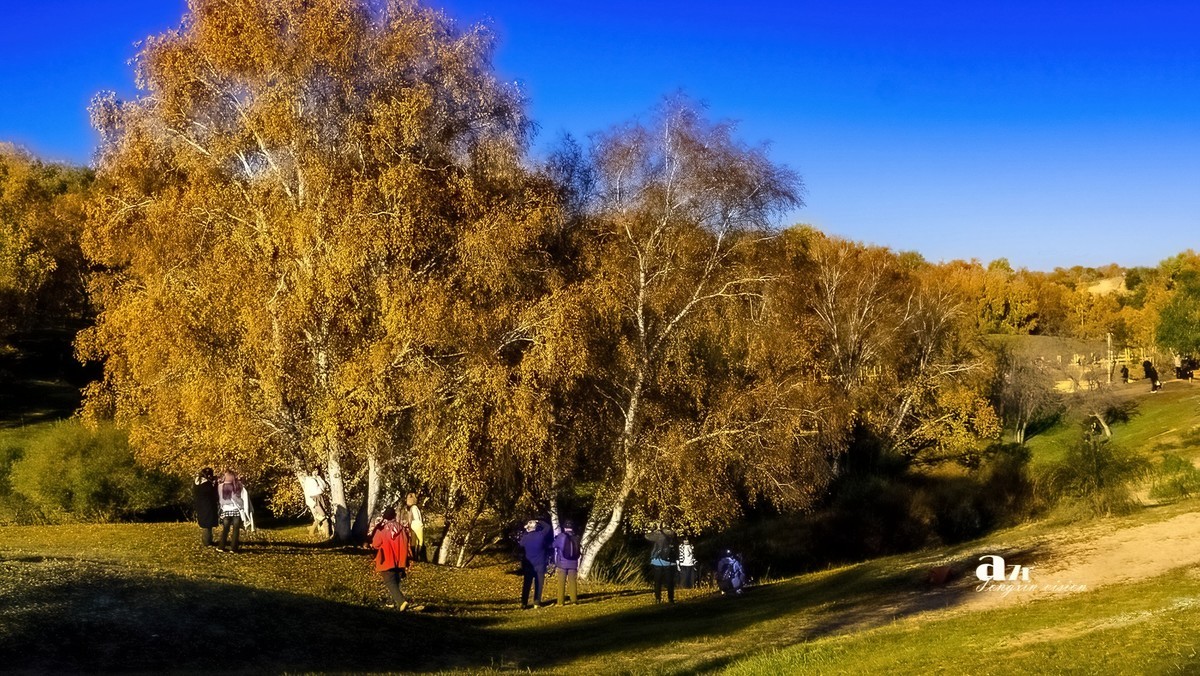 金秋乌兰布统——公主湖（4）