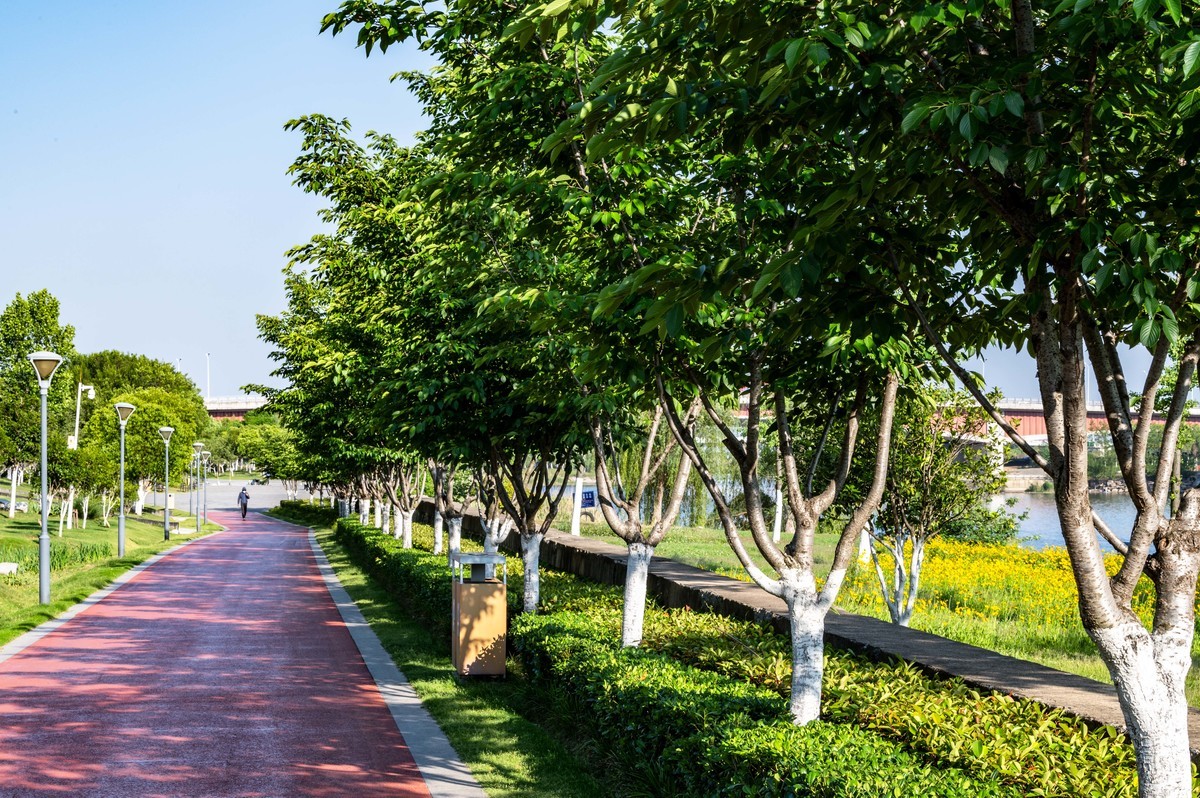 庐州印象（463）濱河公園