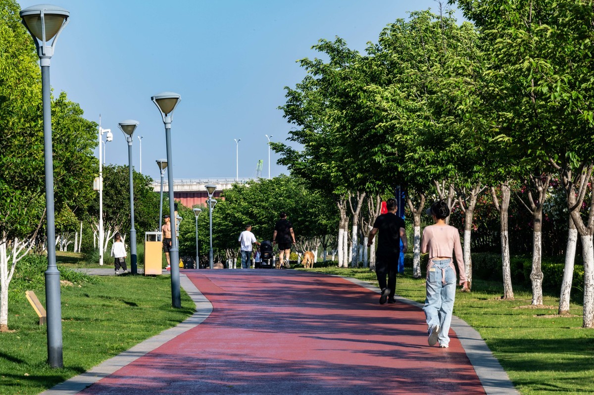 庐州印象（463）濱河公園