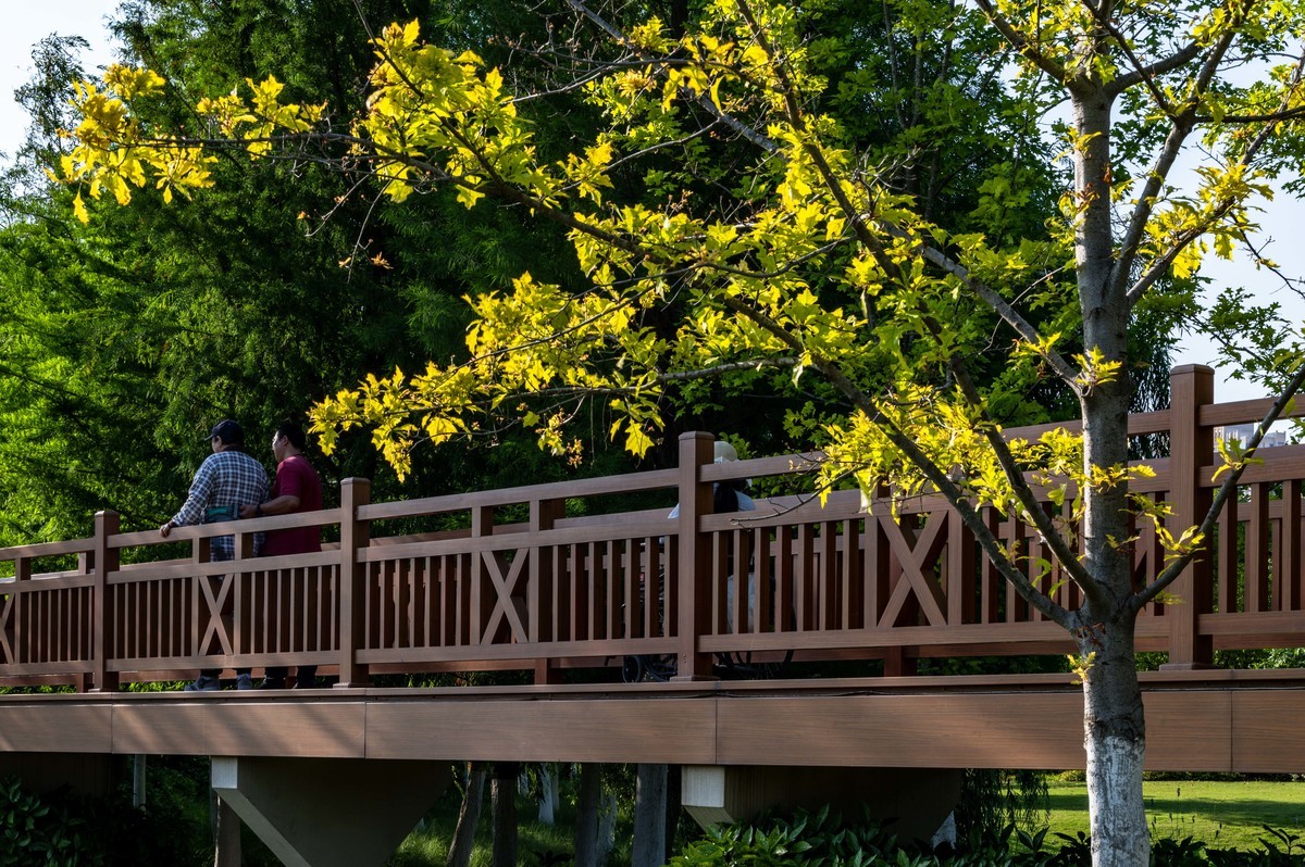 庐州印象（463）濱河公園