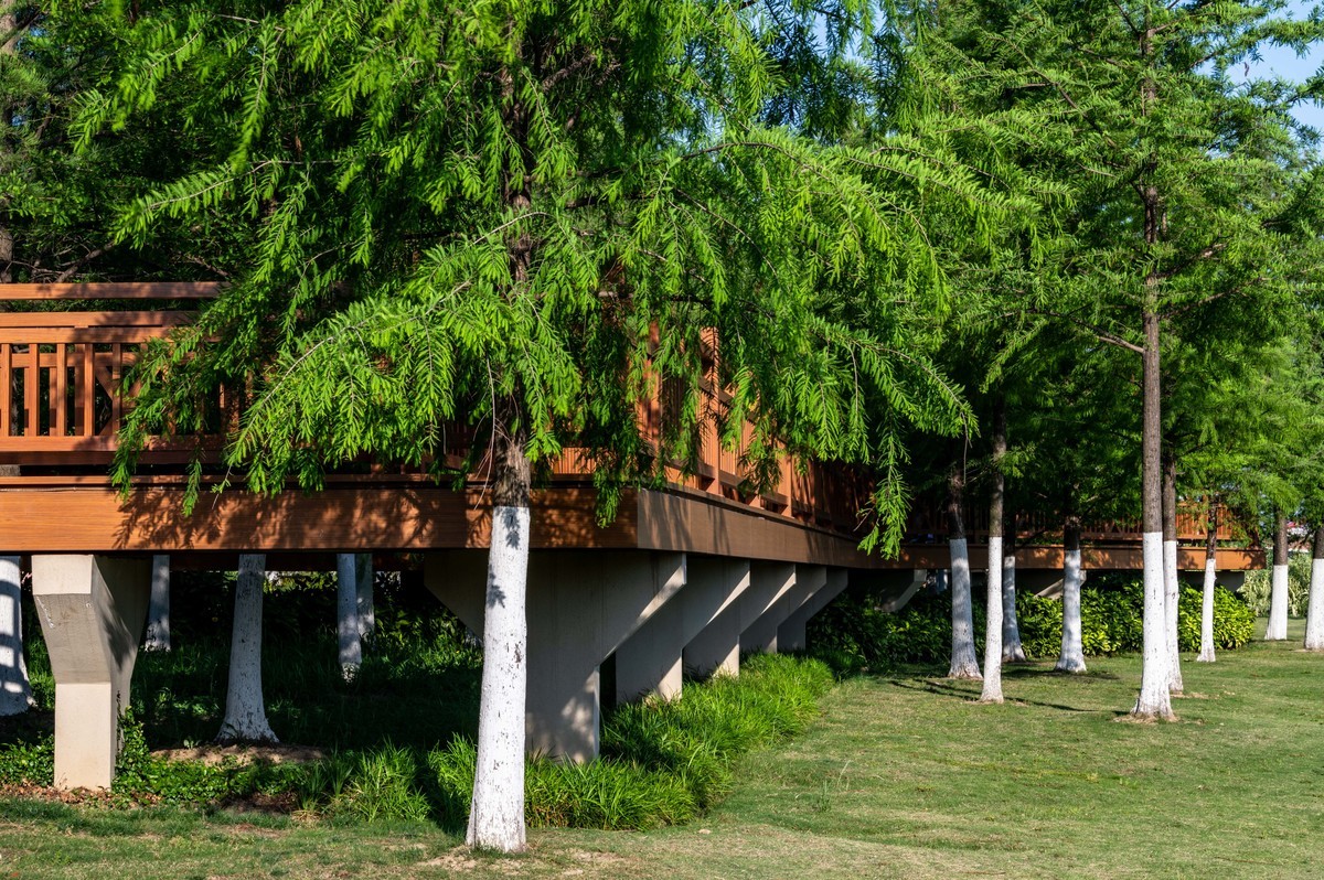 庐州印象（463）濱河公園