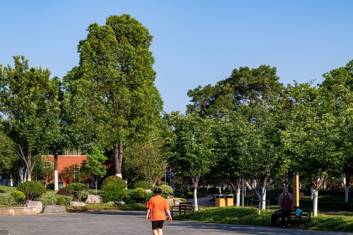 庐州印象（463）濱河公園