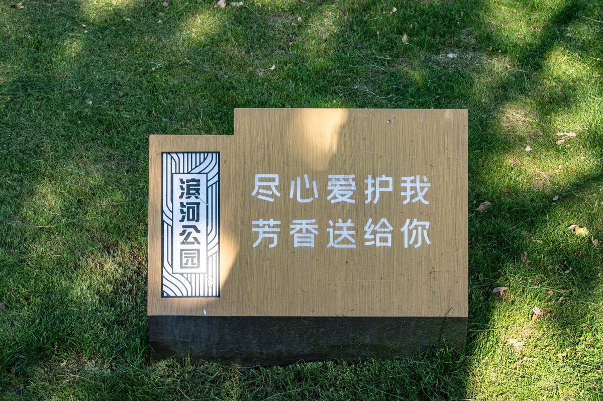 庐州印象（463）濱河公園
