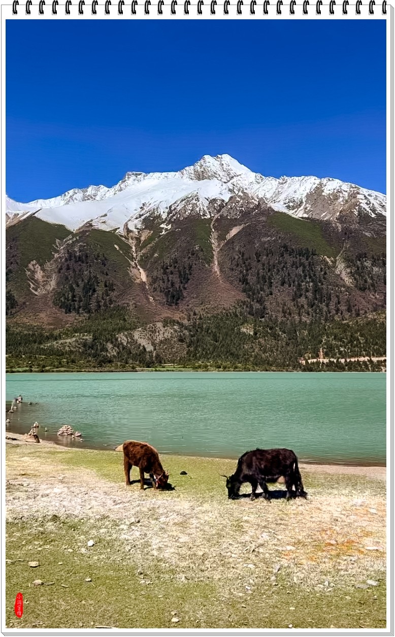 2025年-西藏风光纪实抓拍-0498