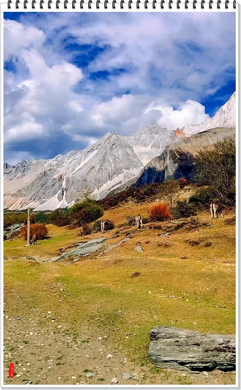 2025年-稻城亚丁风光纪实抓拍-0497