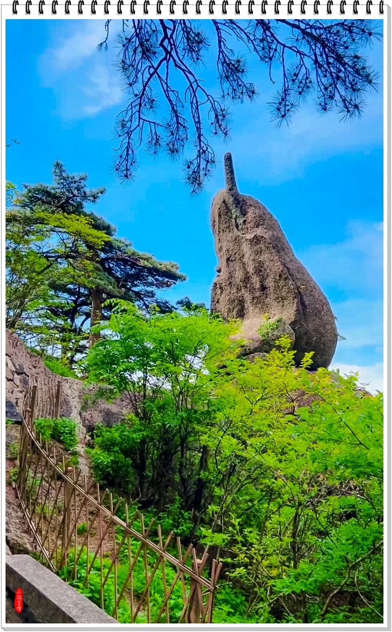 2025年-黄山风光纪实抓拍-0499