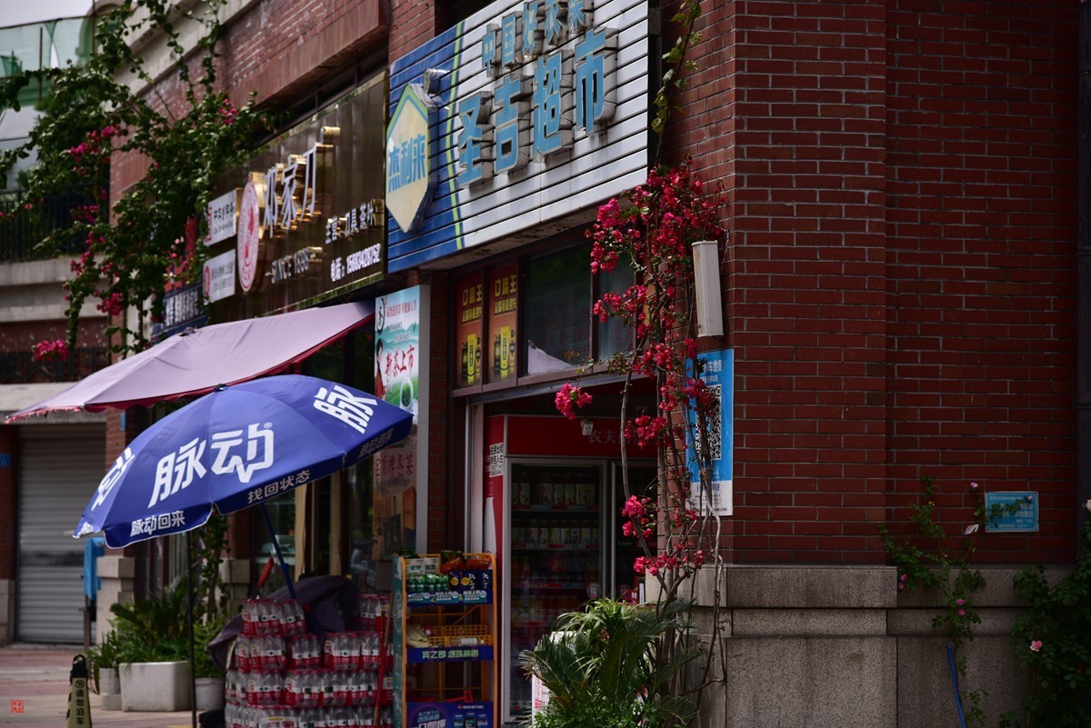 大足海棠湖公园（9）