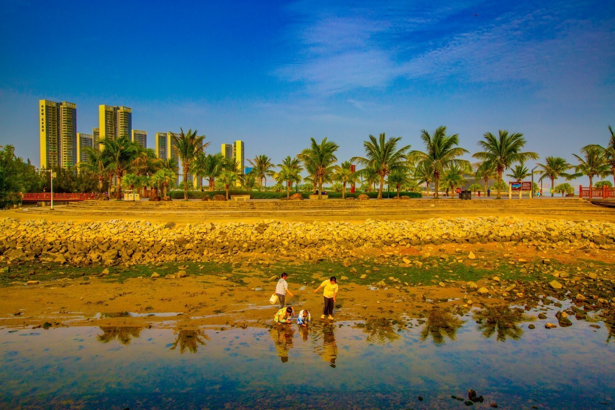 湛江金沙滩周边风景 4