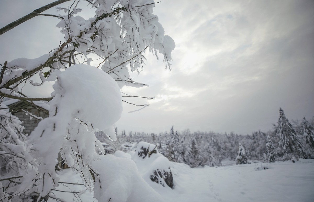 瑞雪兆丰年
