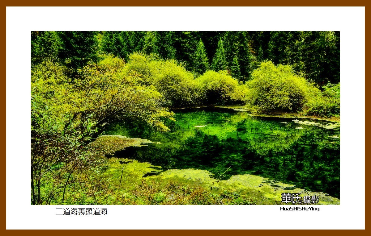 2020西西南北行游走川西159二道海里头道海之一阿坝州松潘县牟尼沟