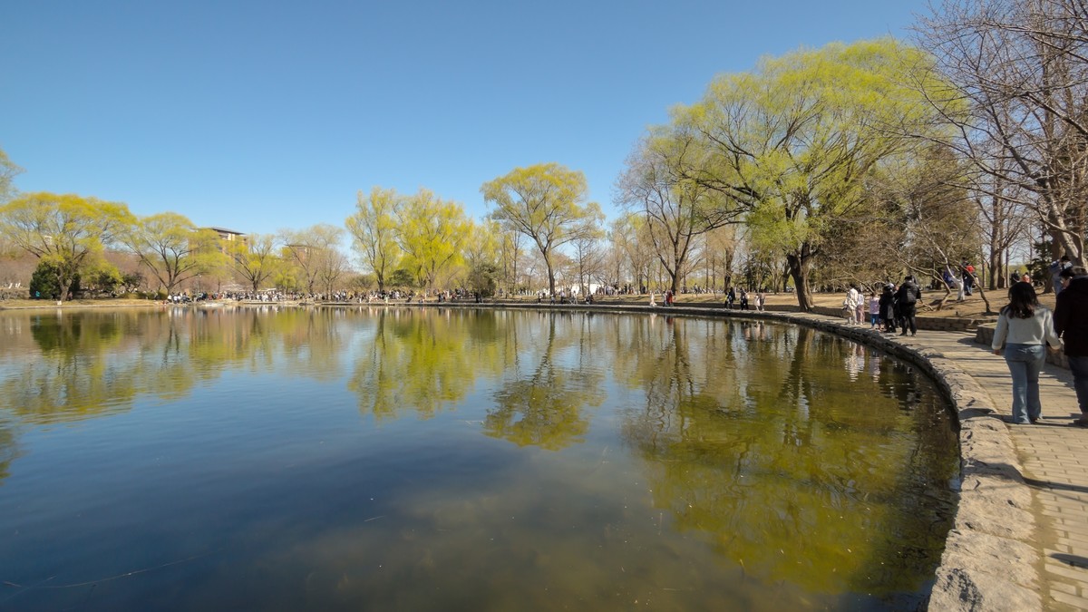 春游玉渊潭20220327 《20》