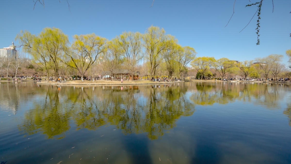 春游玉渊潭20220327 《20》