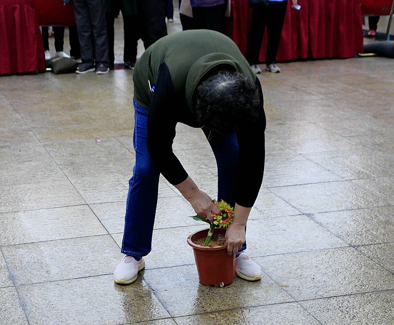 805【不老松：海南游摄纪实】临高长島兰湾群众游乐活动[08]