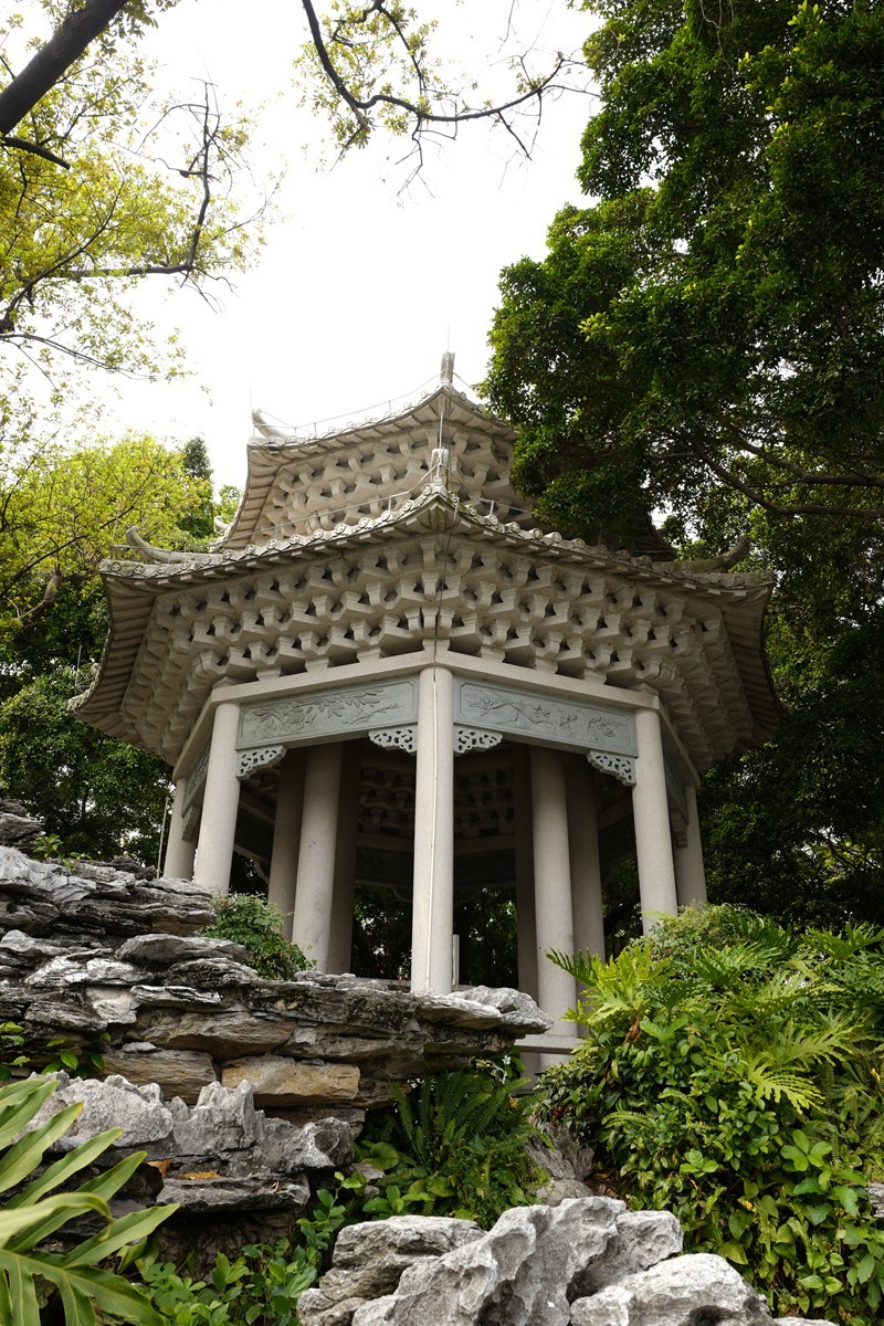 荔湾湖公园随拍（3.15）（9）