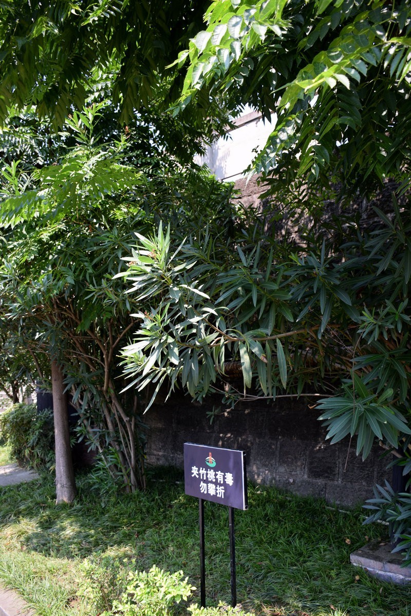 2023夏 黔赣鄂渝川（66）低压火花圆锅制盐