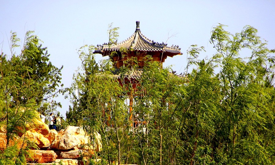 《不老松：纪实摄影》大美沧州系列報道：沧州园博园局部内景！(6)