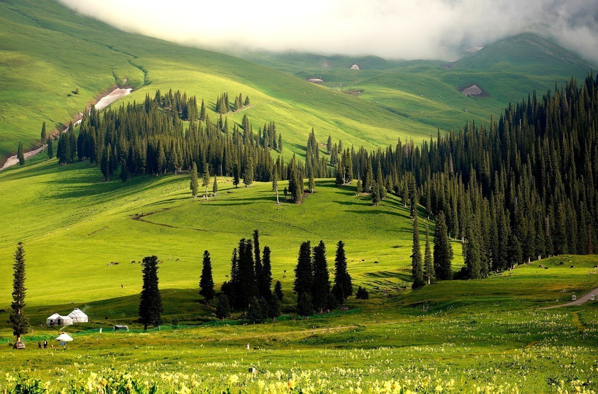 #版主坐堂#索尼大版星空(中国)2024年 3 月份优秀作品精选汇总