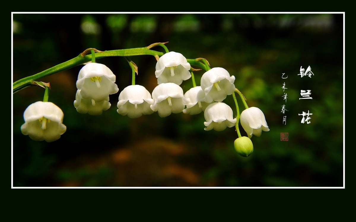 #版主坐堂#索尼大版星空(中国)2024年 3 月份优秀作品精选汇总