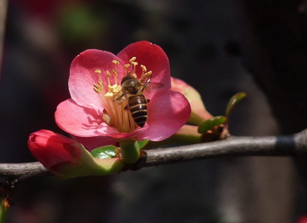 #版主坐堂#索尼大版星空(中国)2024年 3 月份优秀作品精选汇总