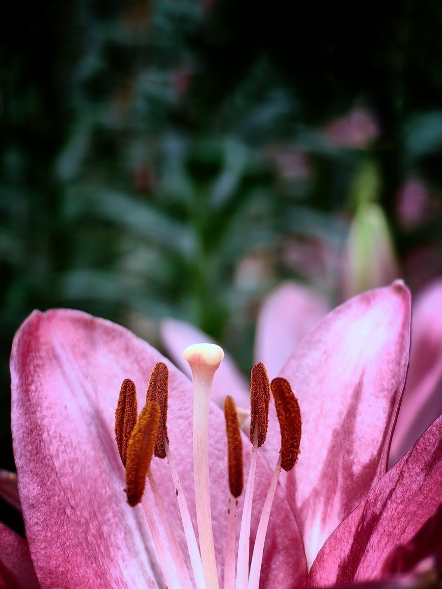 #版主坐堂#索尼大版星空(中国)2024年 3 月份优秀作品精选汇总