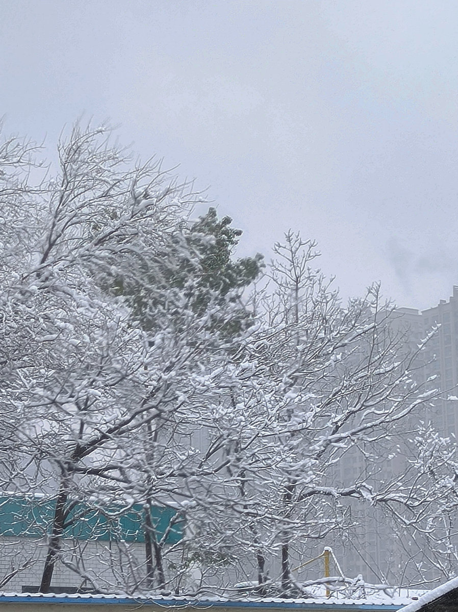漫步星城 走街串巷（430）2024第一场雪