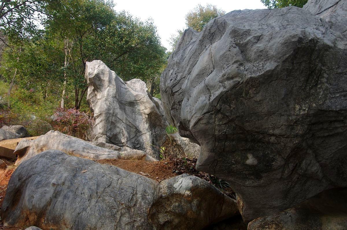 三衢石林风景区游记-4