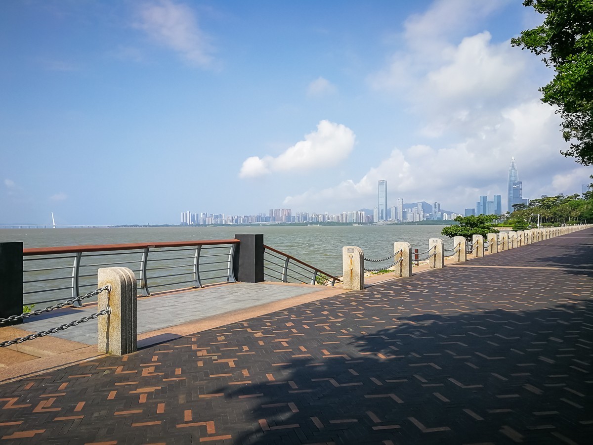 深圳湾公园掠影