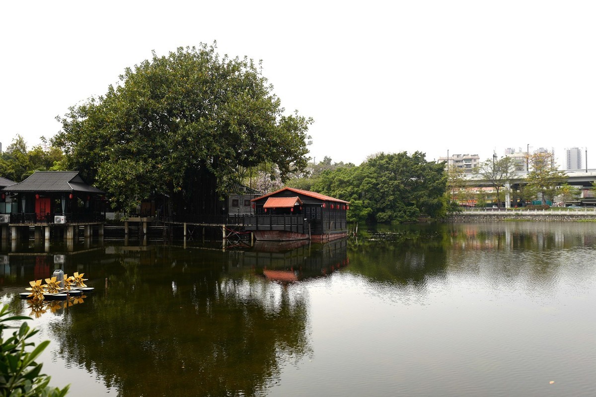 荔湾湖公园随拍（3.15）（9）