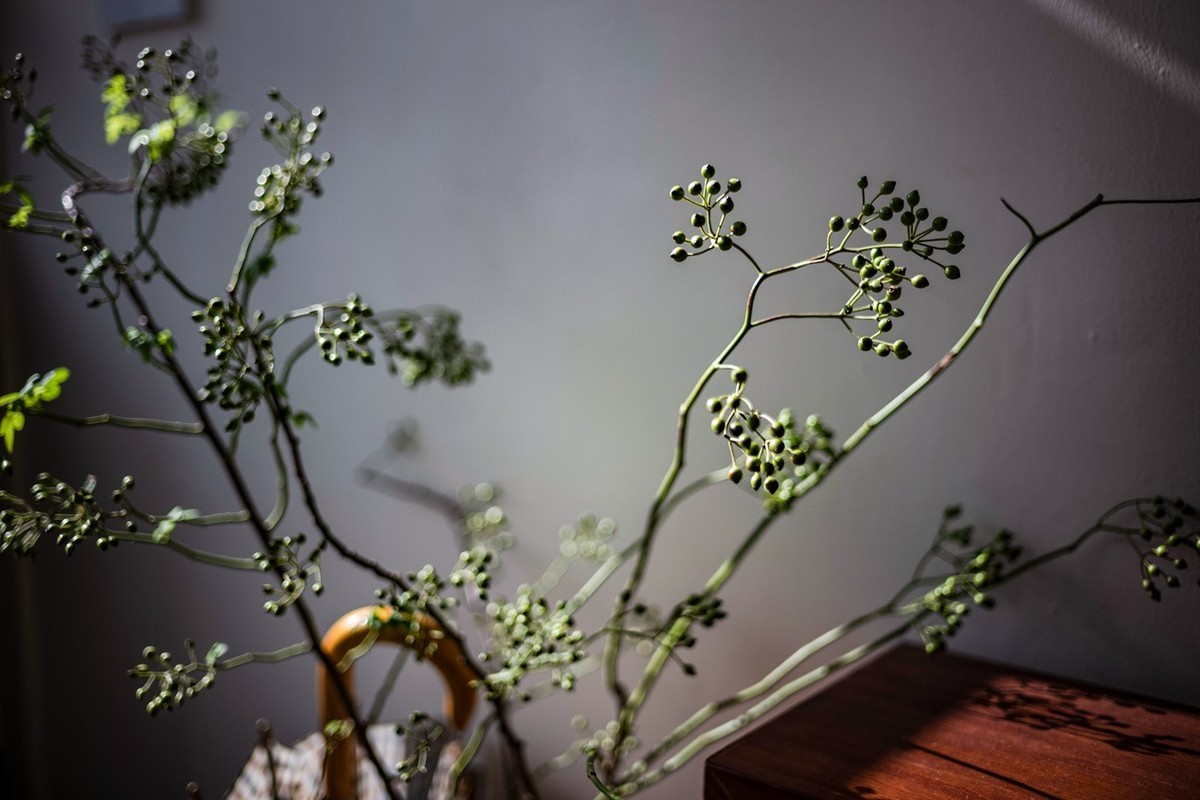 Lecia M10P+LM 35 F1.4 Asph.+90 F2.0 ( 去喝咖啡拍静物 ）