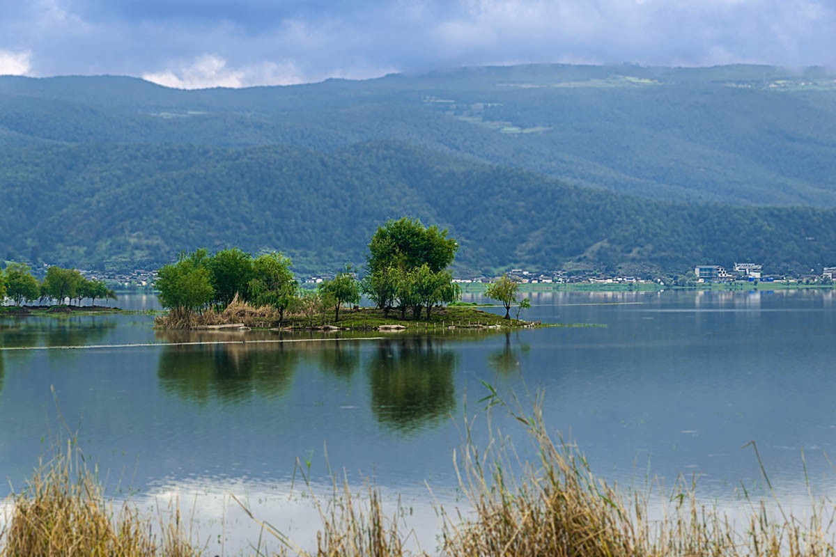 丽江拉市海湿地风景