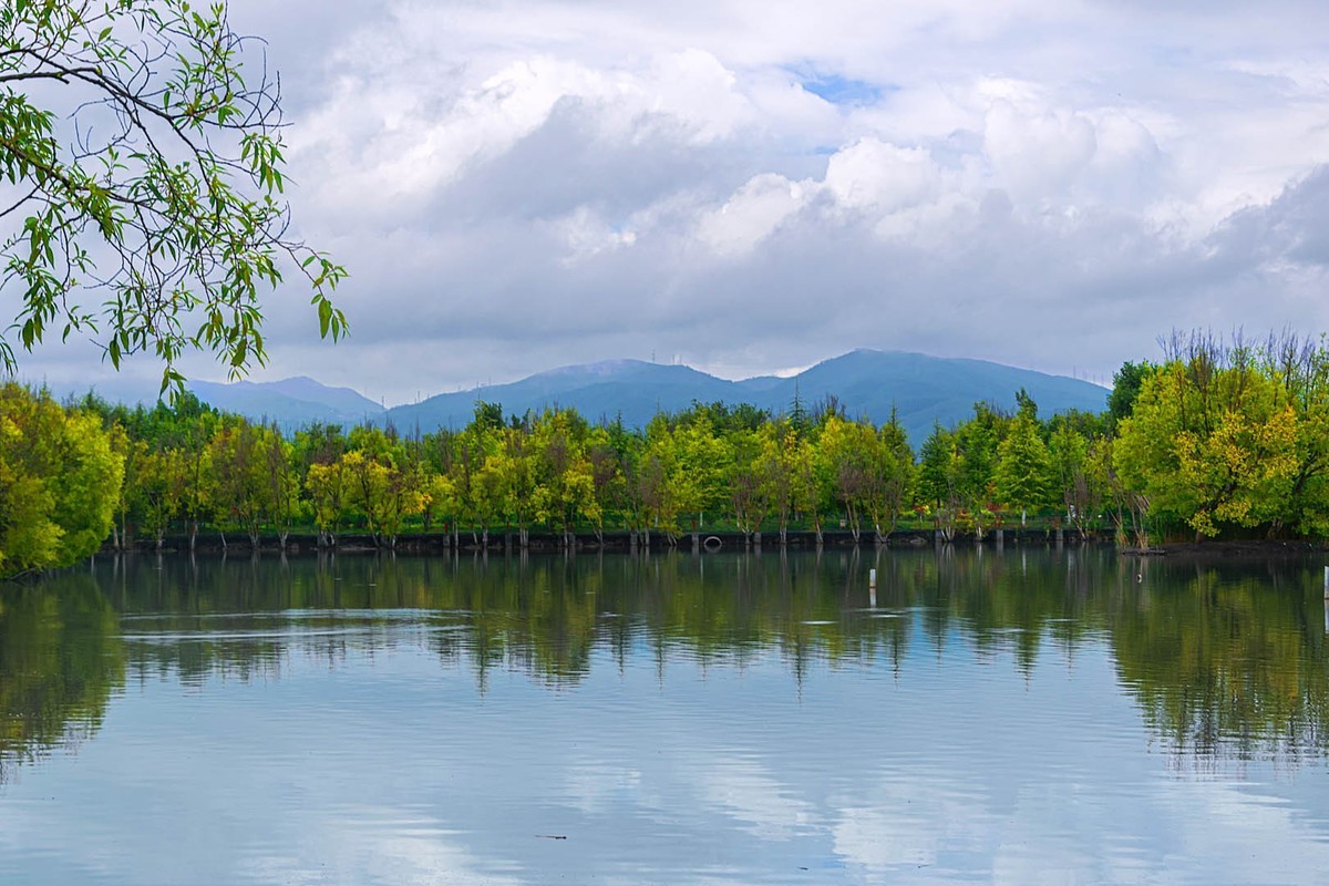 麗江拉市海溼地風景