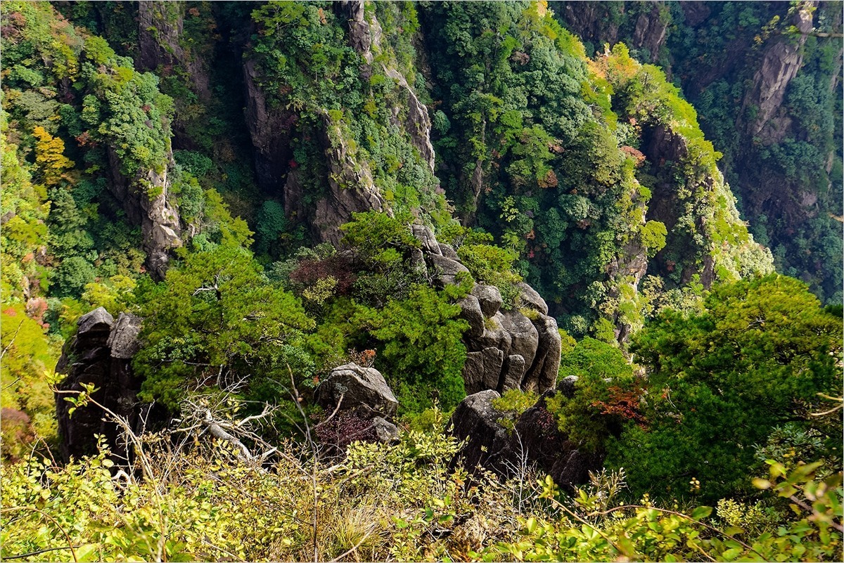 2024年第0774贴-黄山风光纪实游拍（1016）