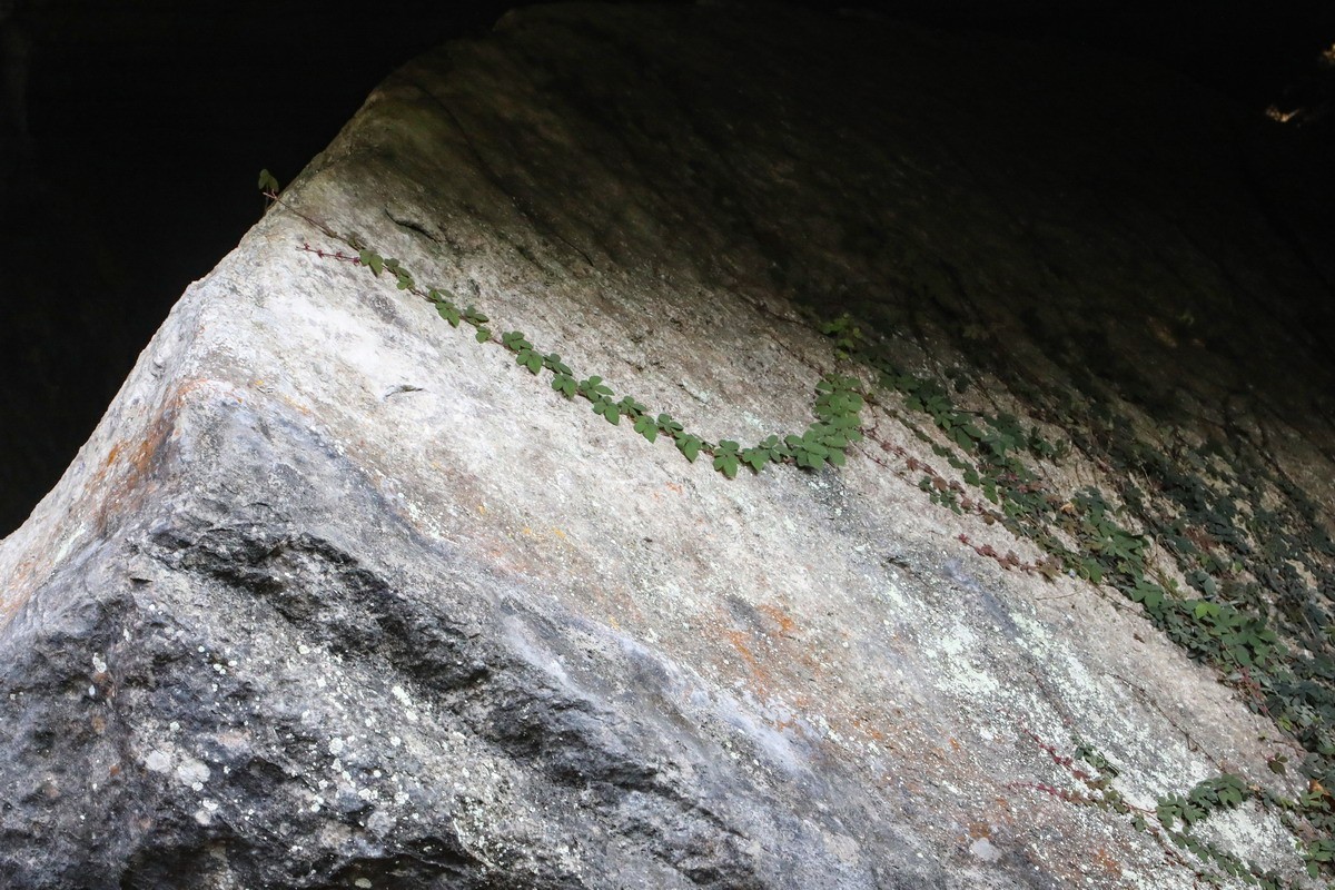 恩施梭布亚石林1----青龙台1