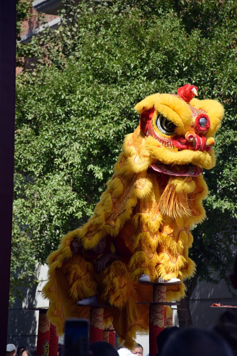 2024秋 江汉行（20）古老而温馨的舞狮表演