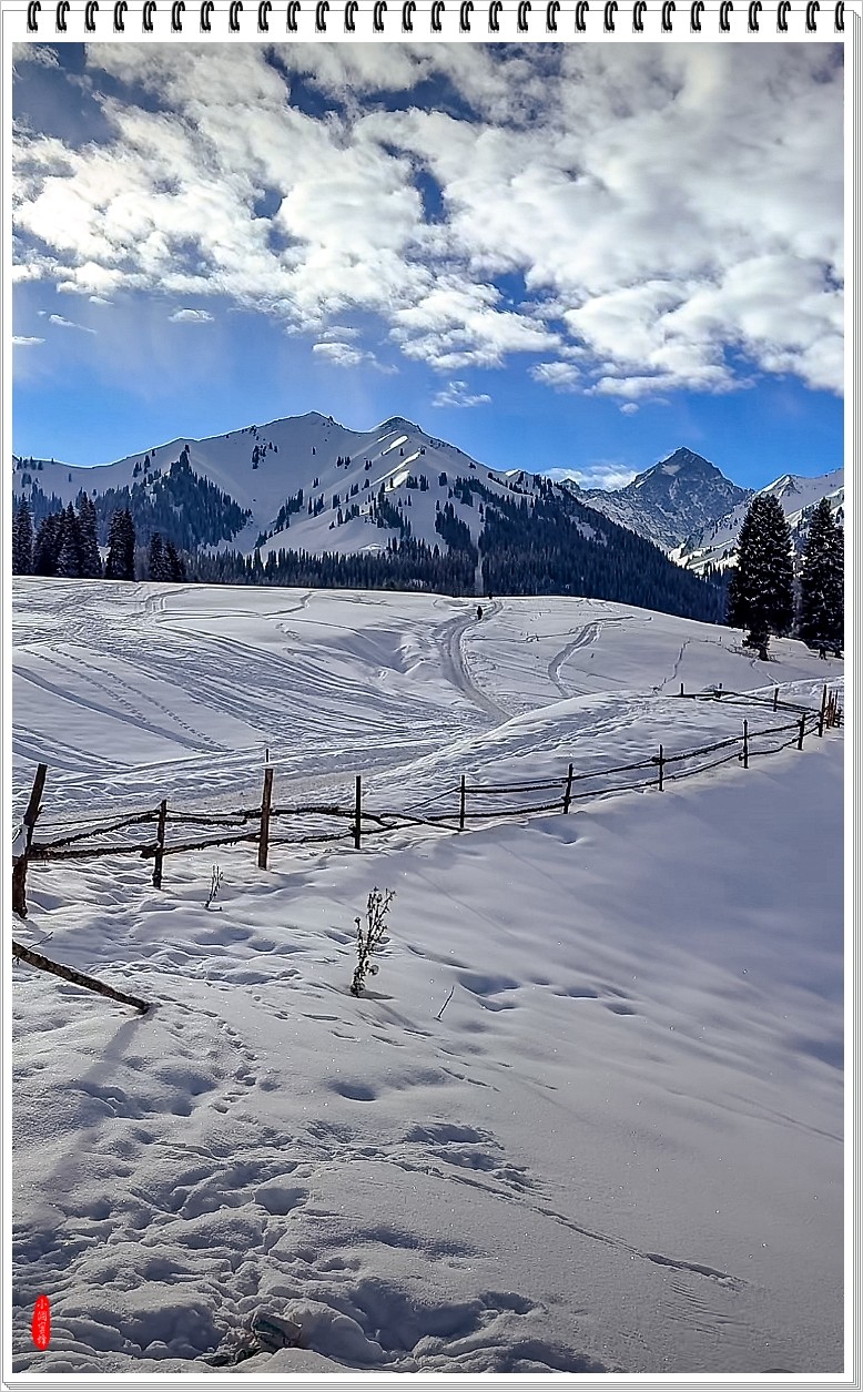 2025年- 喀纳斯风光纪实抓拍-0148