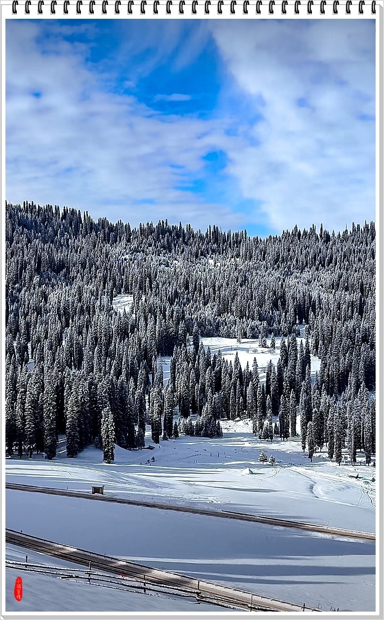 2025年- 喀纳斯风光纪实抓拍-0148