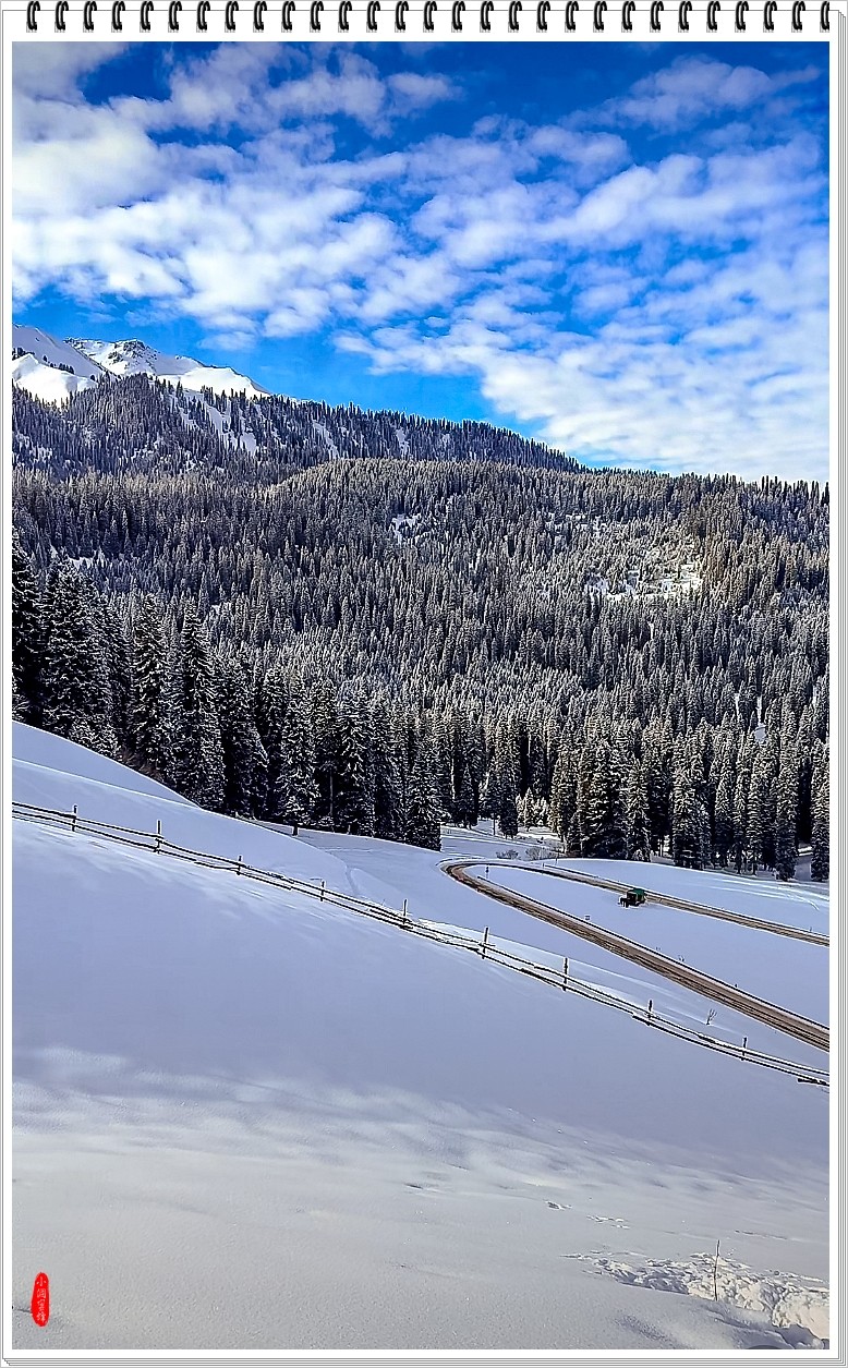 2025年- 喀纳斯风光纪实抓拍-0148