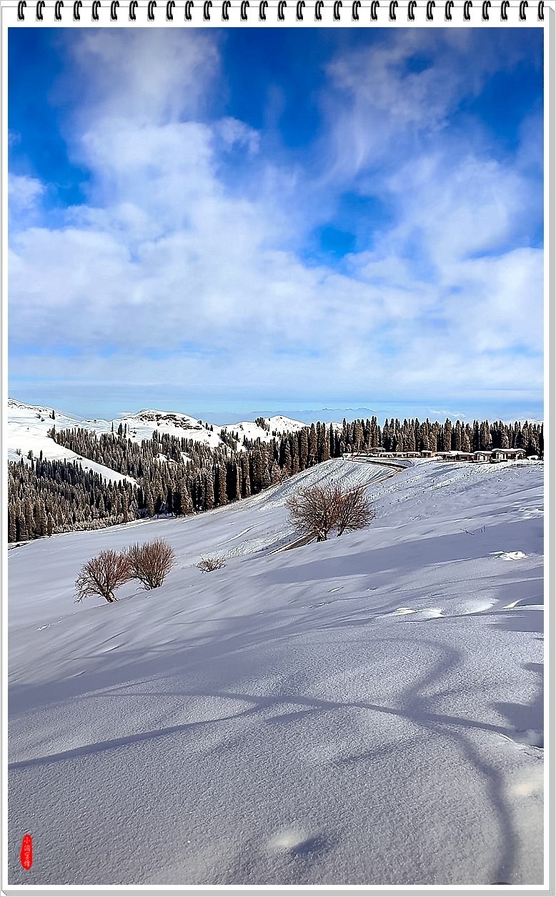 2025年- 喀纳斯风光纪实抓拍-0148