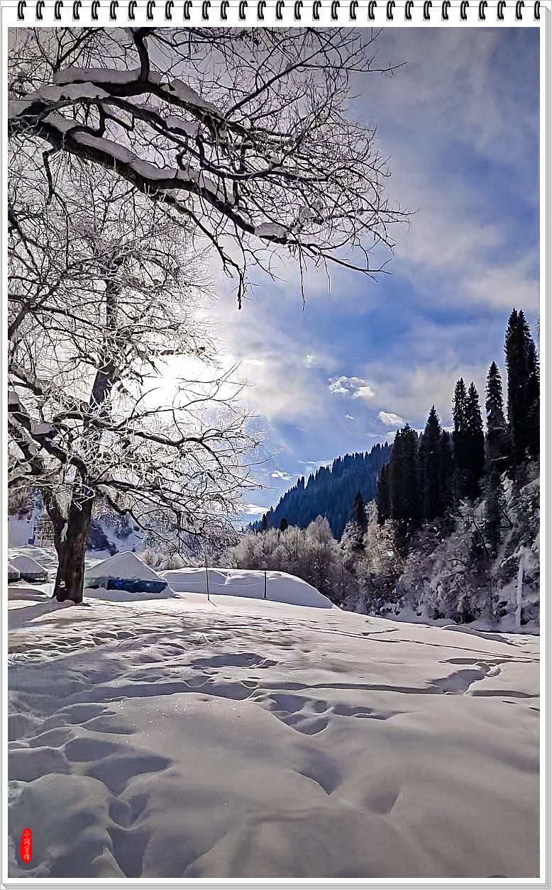 2025年- 喀纳斯风光纪实抓拍-0148