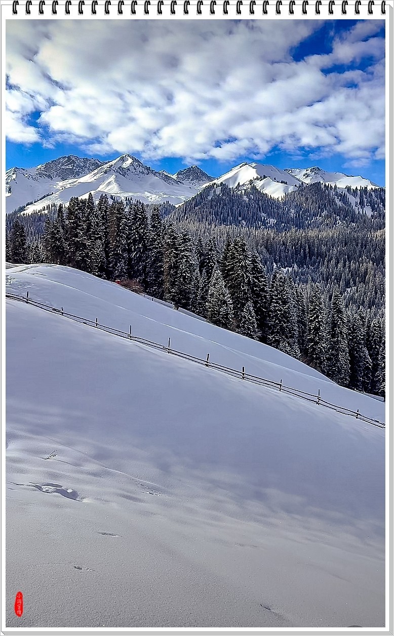 2025年- 喀纳斯风光纪实抓拍-0148