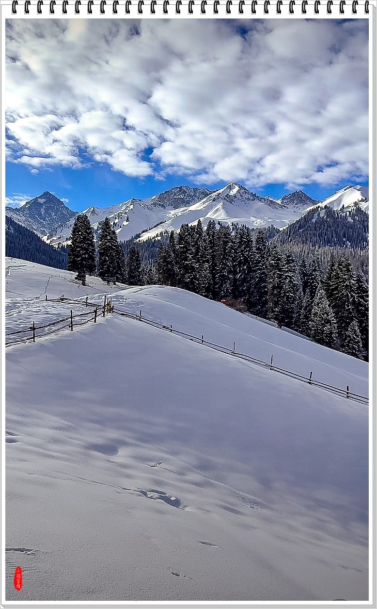 2025年- 喀纳斯风光纪实抓拍-0148