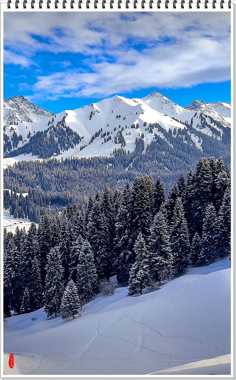 2025年- 喀纳斯风光纪实抓拍-0148