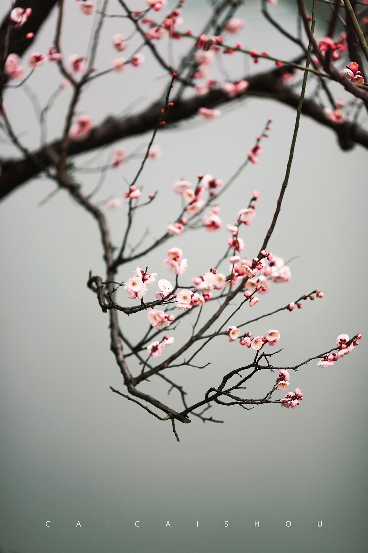 【菜々手摄影】时光的纹路——广福林建筑细节随记