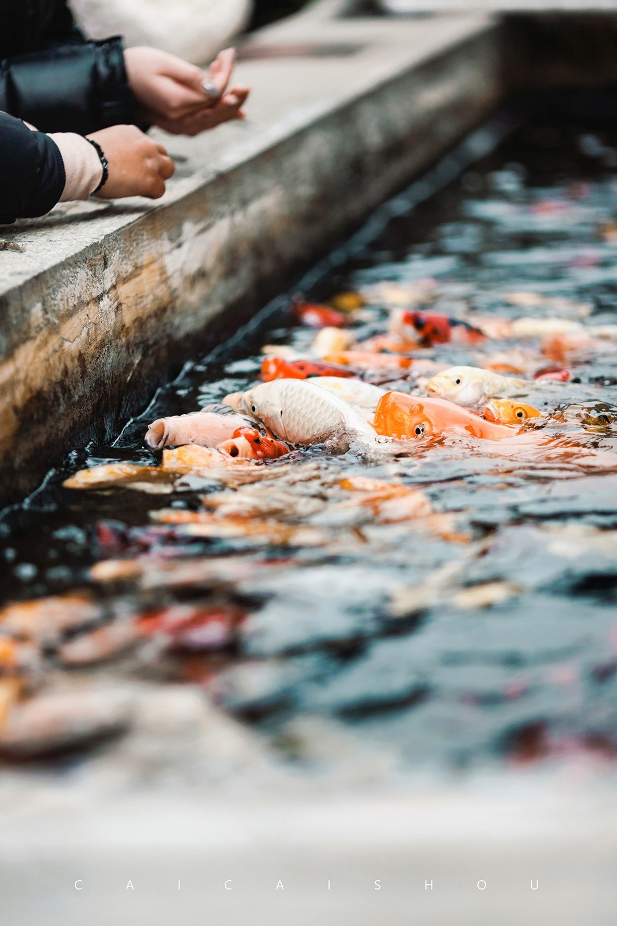 【菜々手摄影】时光的纹路——广福林建筑细节随记