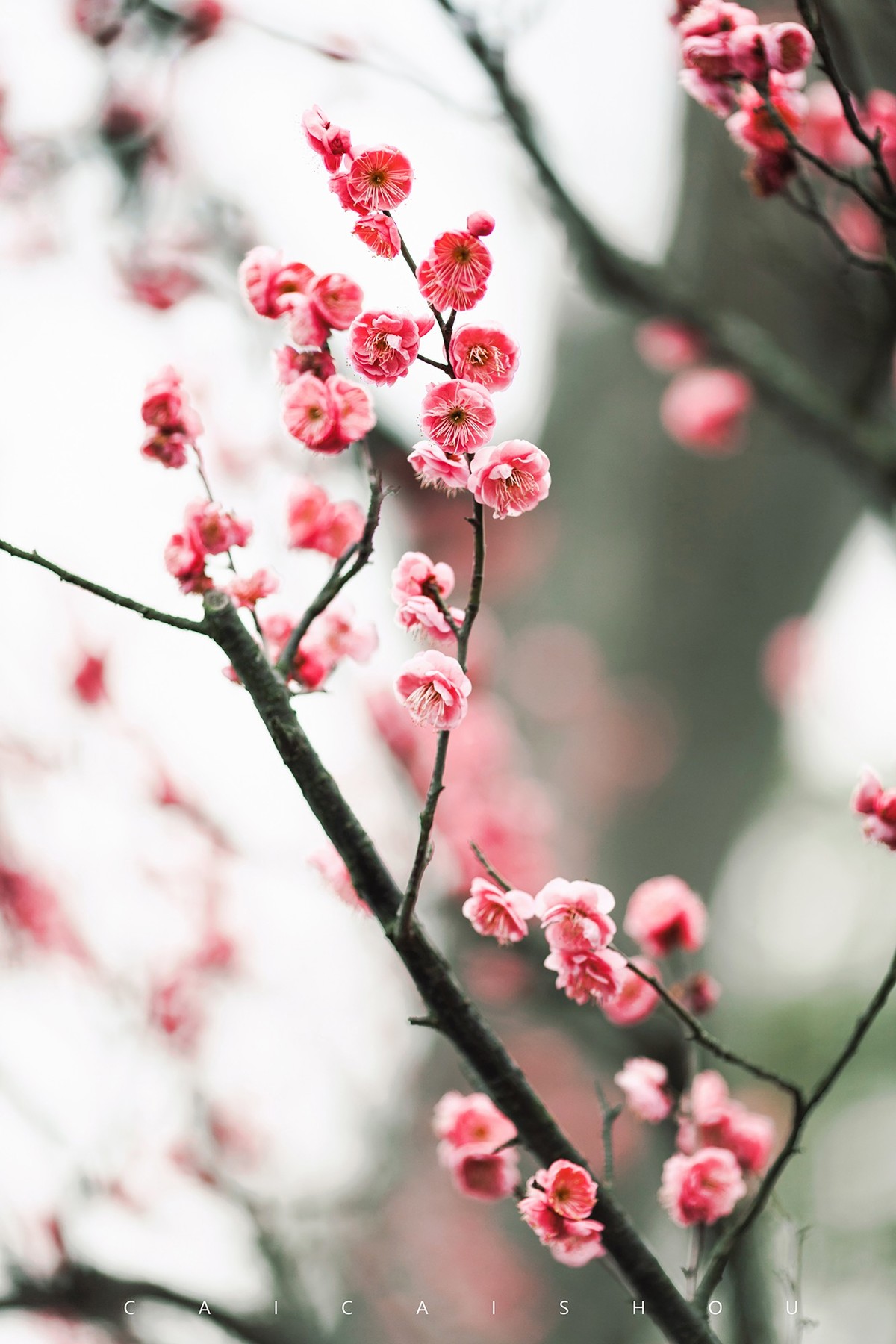 【菜々手摄影】时光的纹路——广福林建筑细节随记