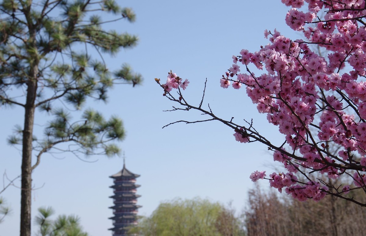 柳绿花红舞春风