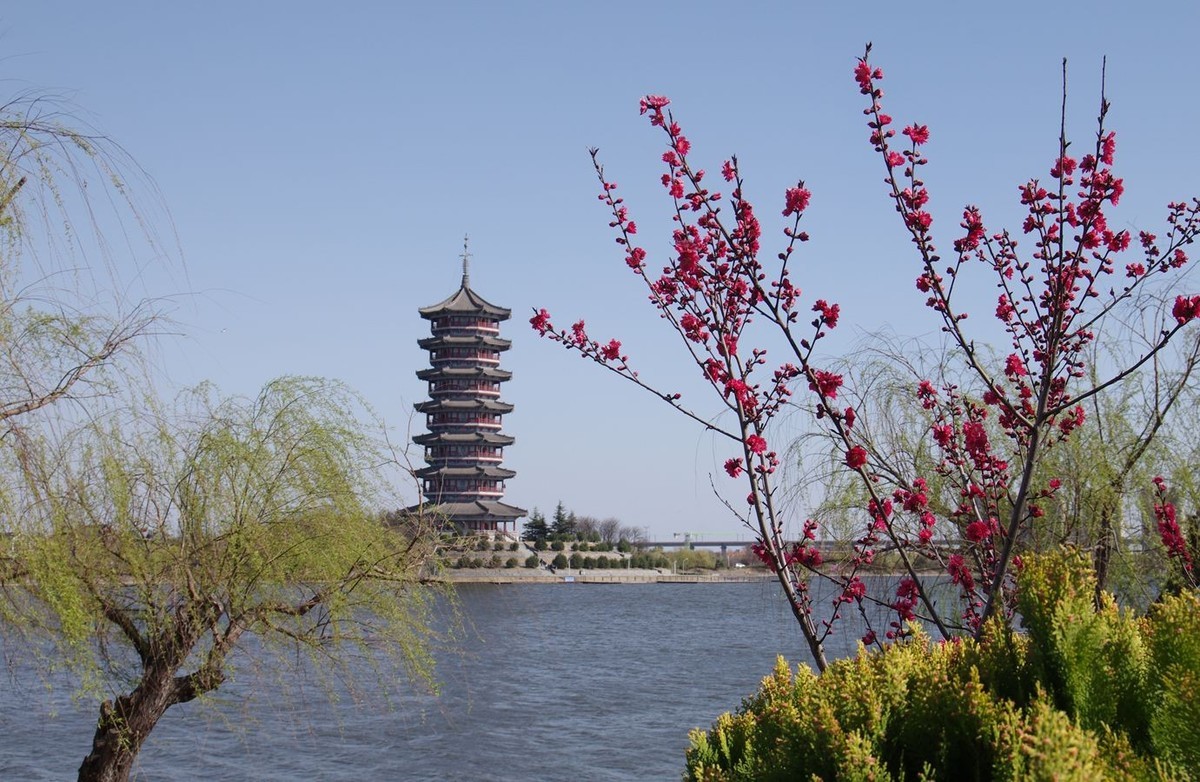 柳绿花红舞春风